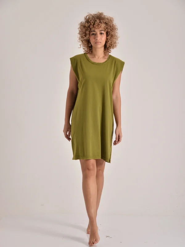 The Frame Dress